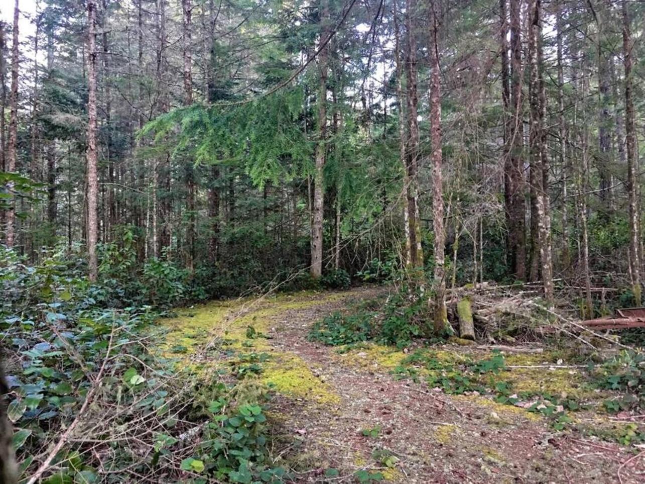 The Great Escape - Shirley & Bunkhouse Vila Sooke Exterior foto